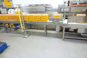 EGGS_02