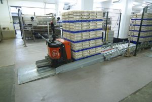 EGGS_04