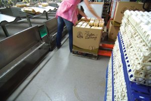 EGGS_09
